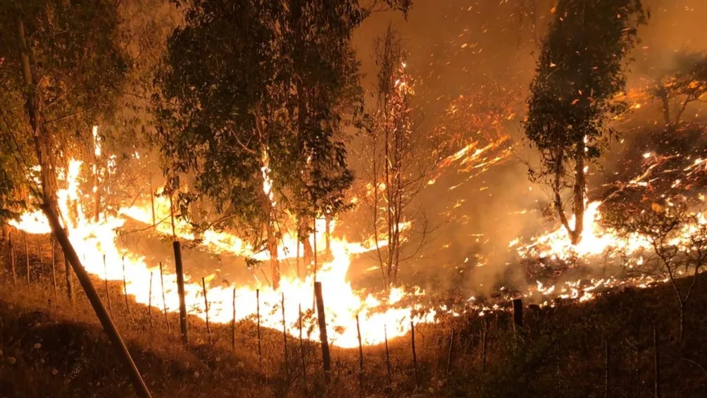 incendios chile