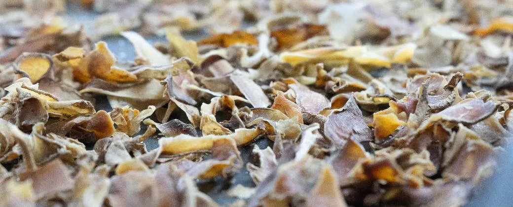 CASCARA