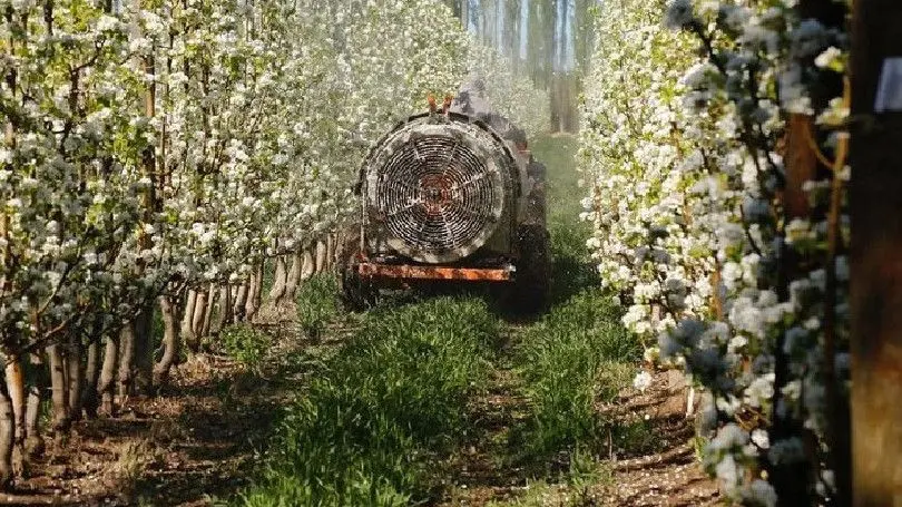 fruticultura floracion