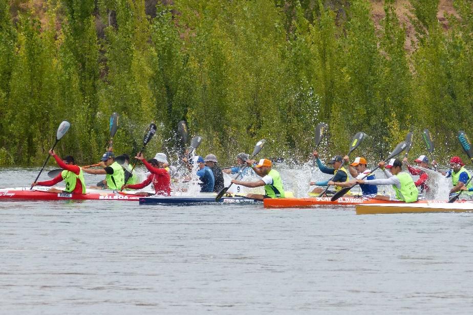 Regata RN