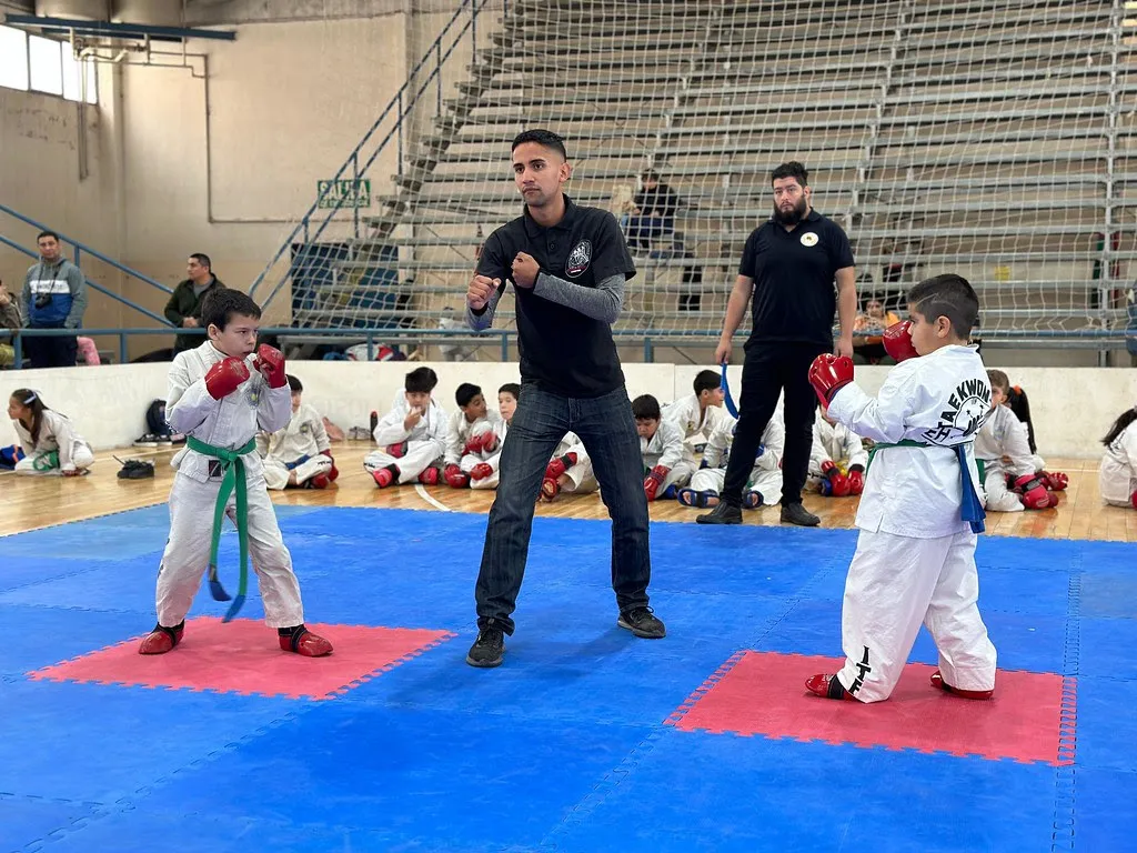 Taekwondo