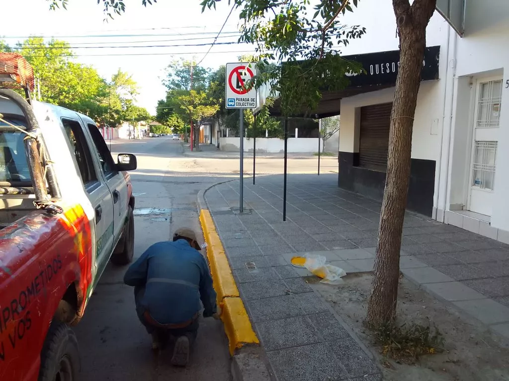 pintado cordones