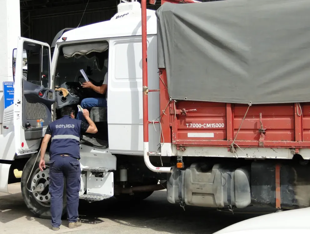 camion senasa