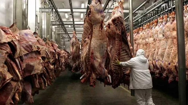 carne vacuna