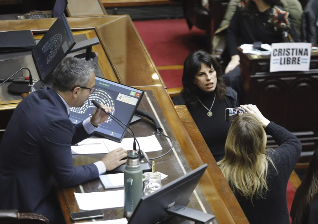 martin menem diputados