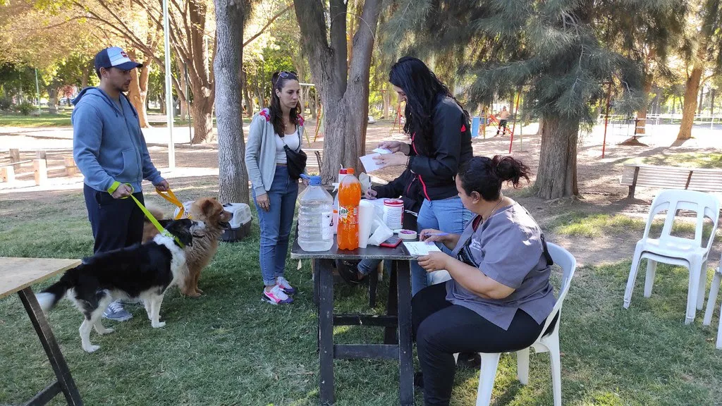 vacunas mascotas