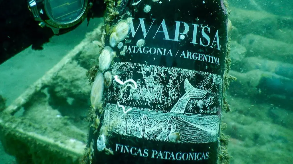 wapisa bodega rn