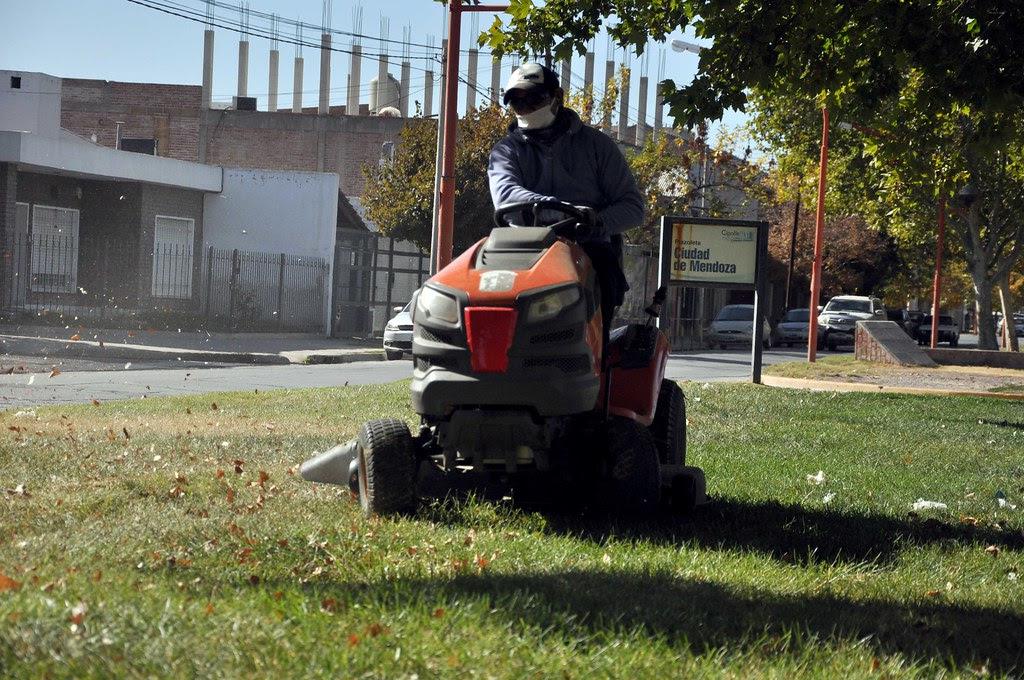 Corte cesped