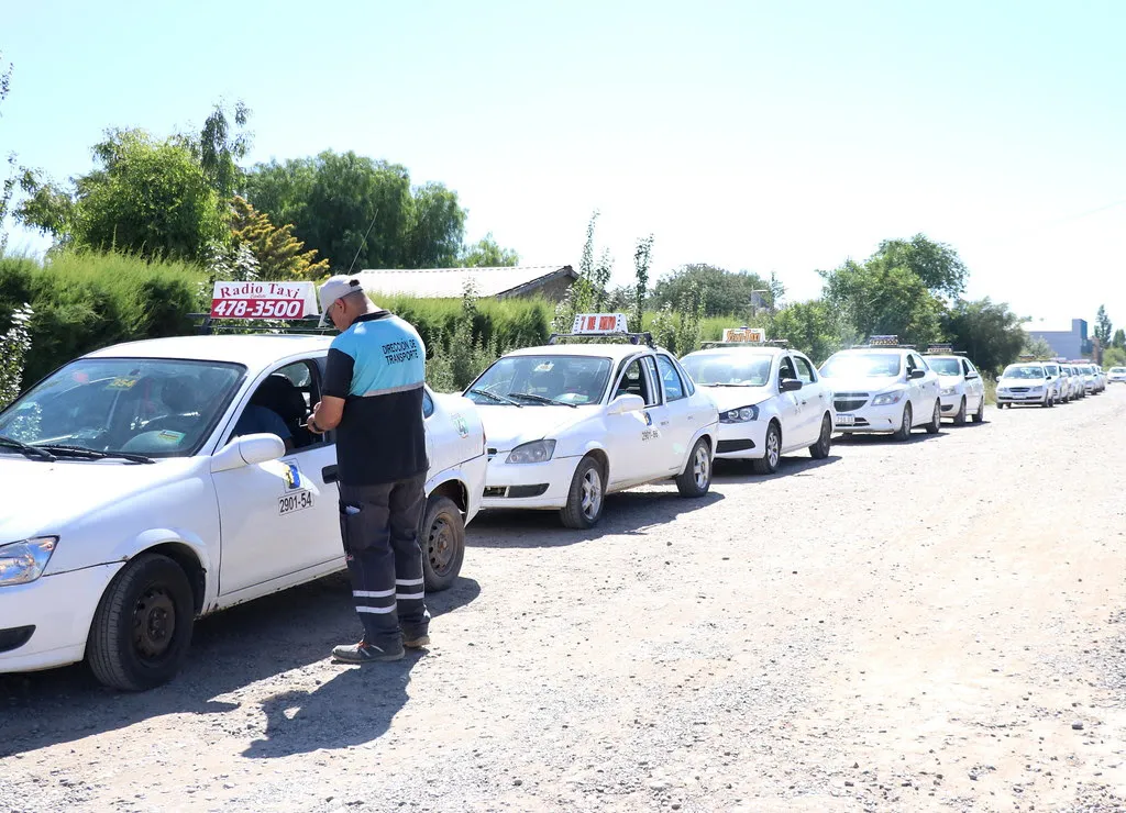 taxis cipo