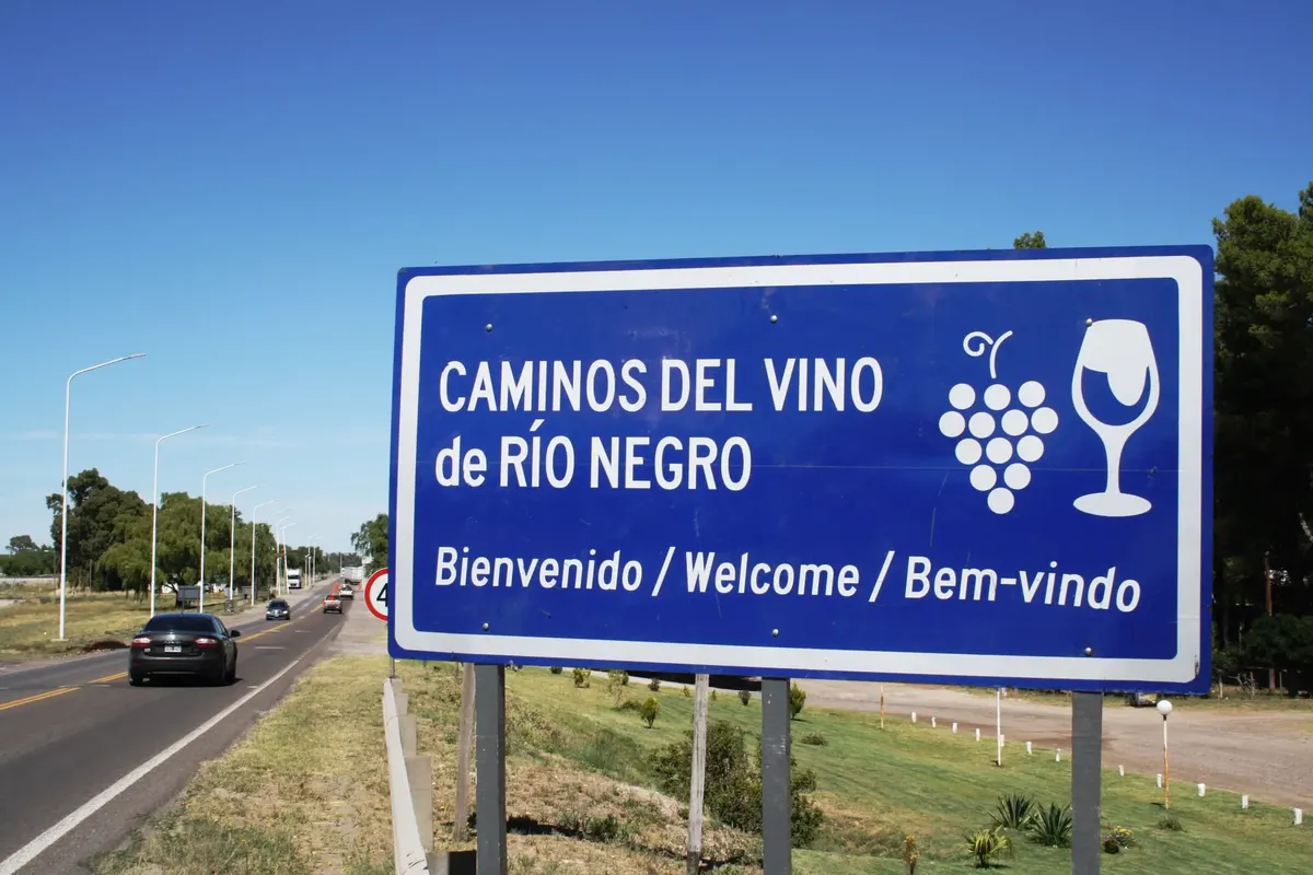 caminos del vino rn