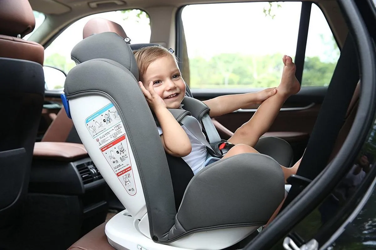 silla niños auto