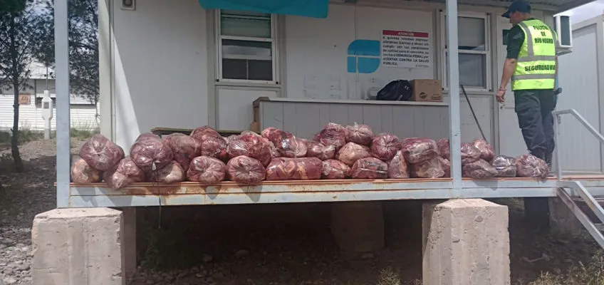 carne
