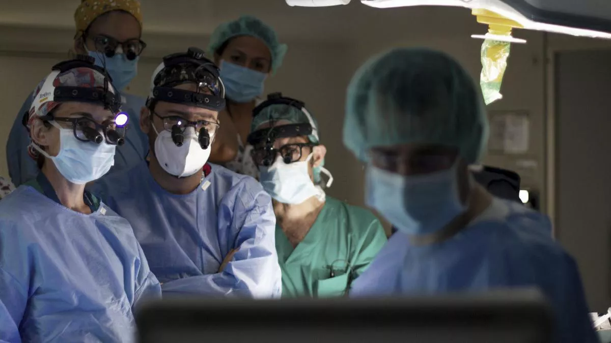 medicos