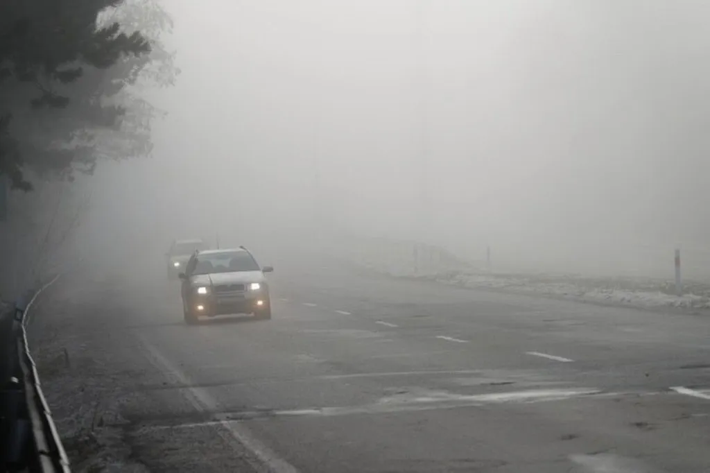 niebla cipo