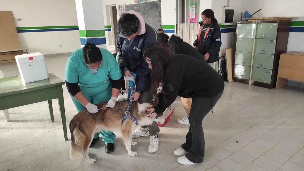 vacunacion