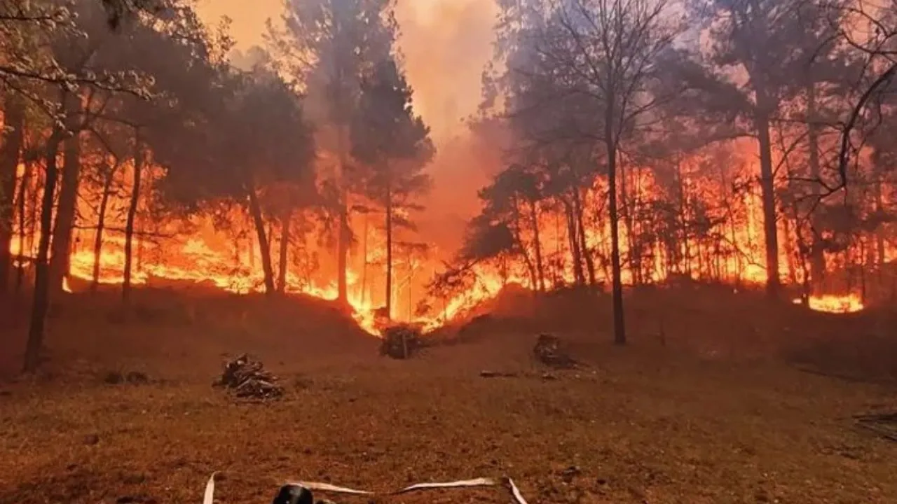 calamuchita incendio