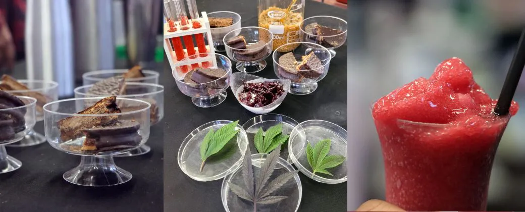 coimdas cannabicas
