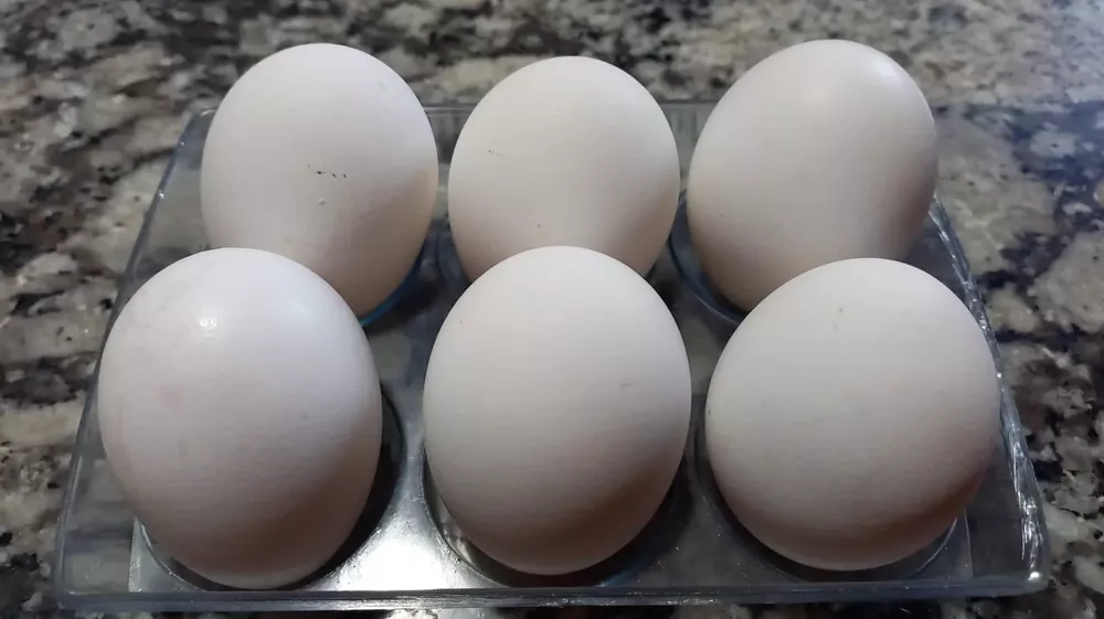 huevos