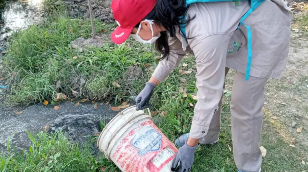 dengue