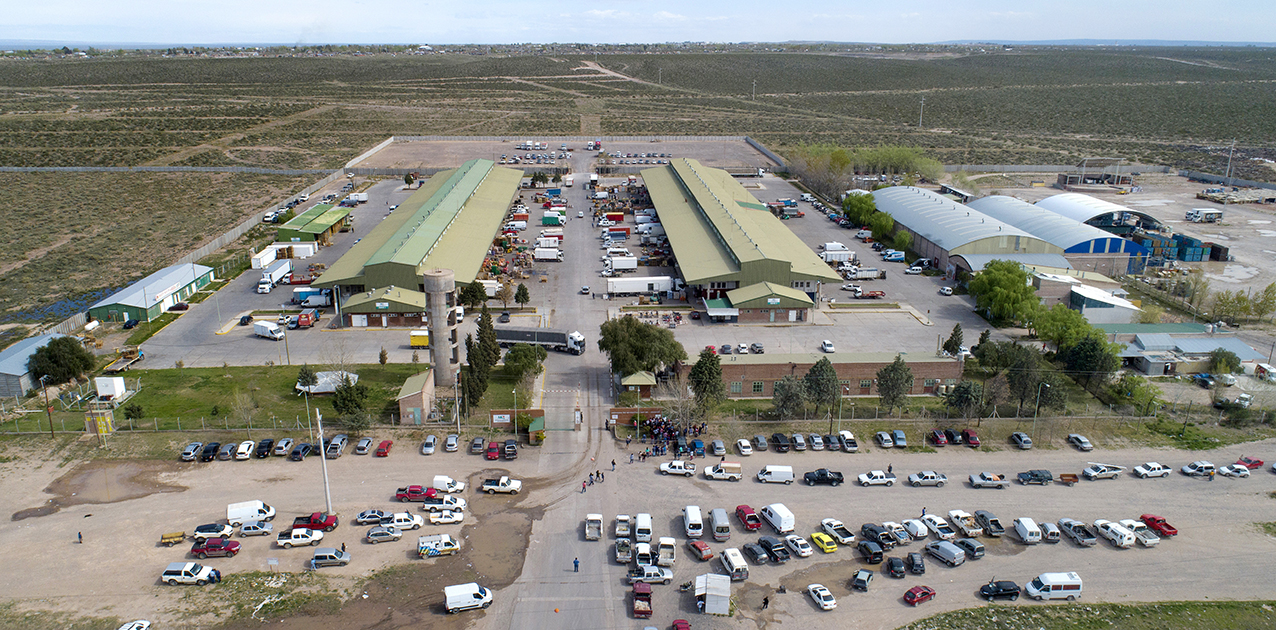 Mercado concentrador NQN