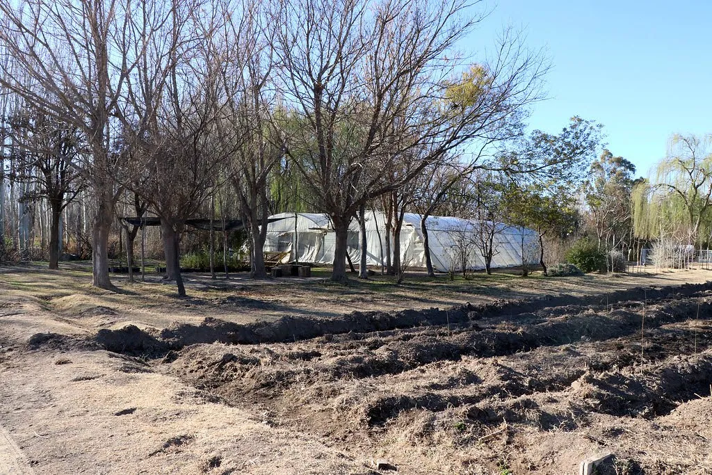vivero municipal cipo