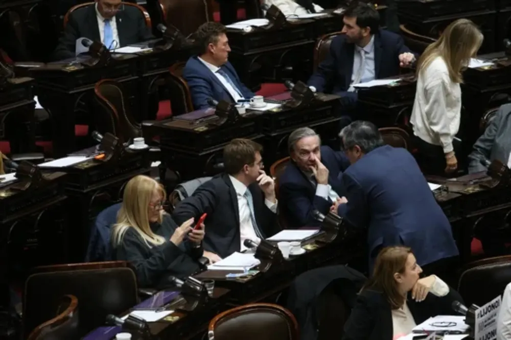 picheto diputados