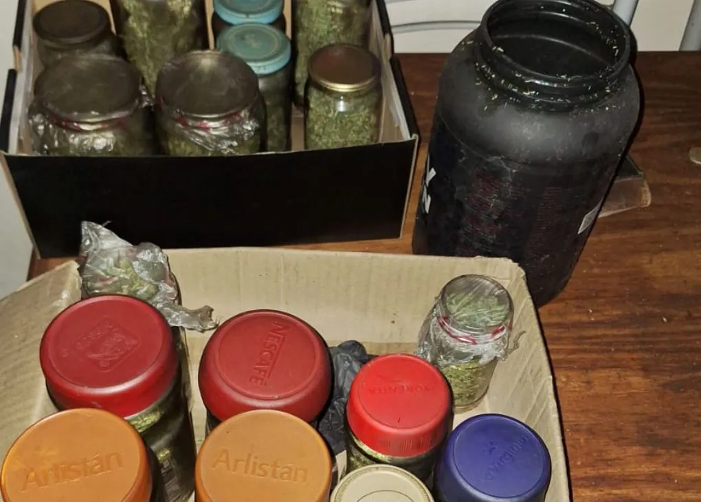 marihuana viedma