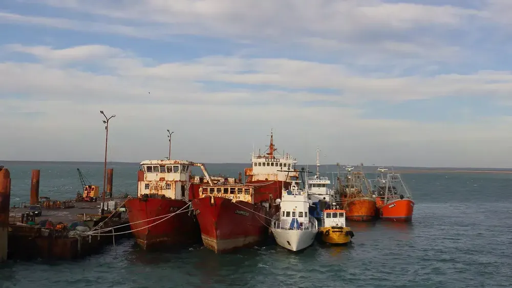 barcos pesqueros puerto sao