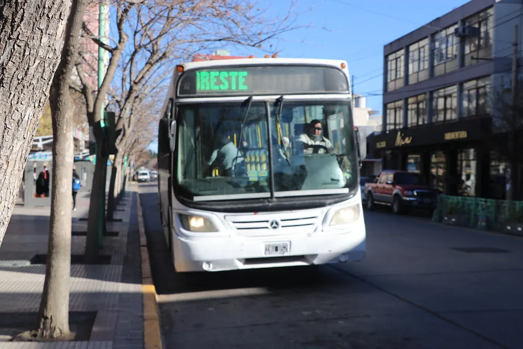 colectivo