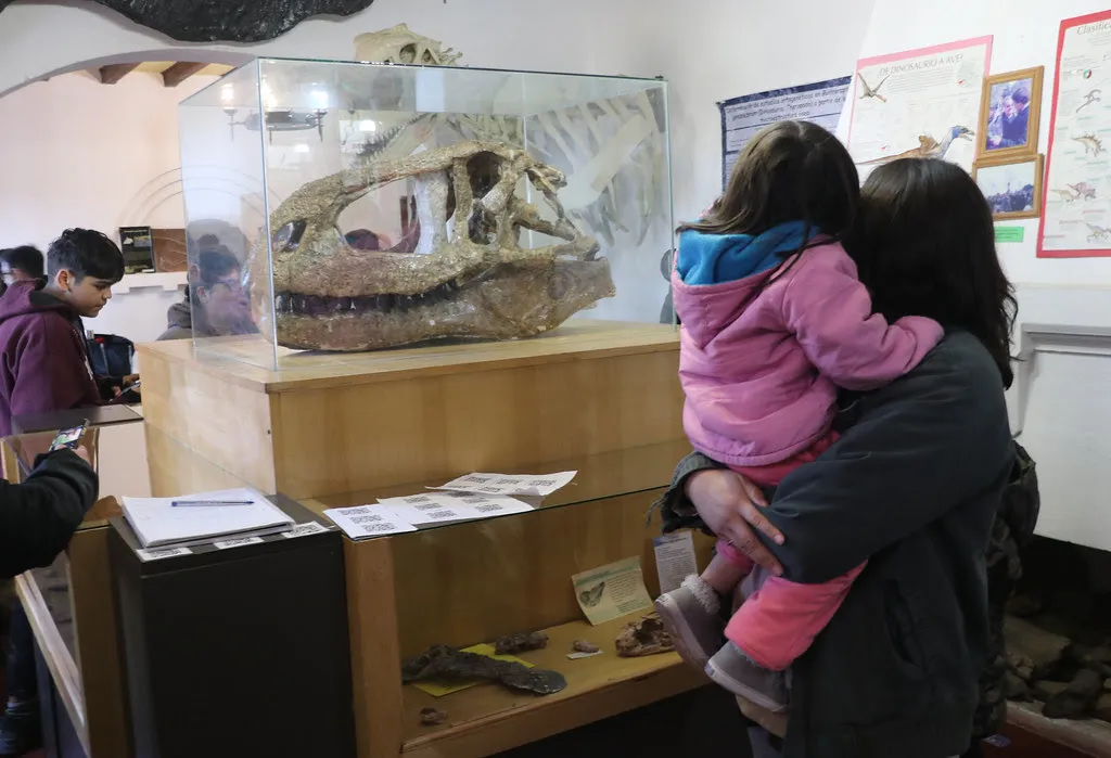 jornadas paleontología