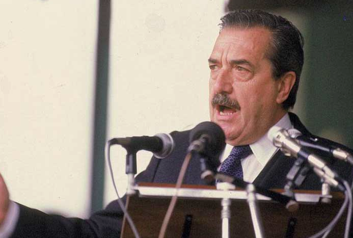 Alfonsin