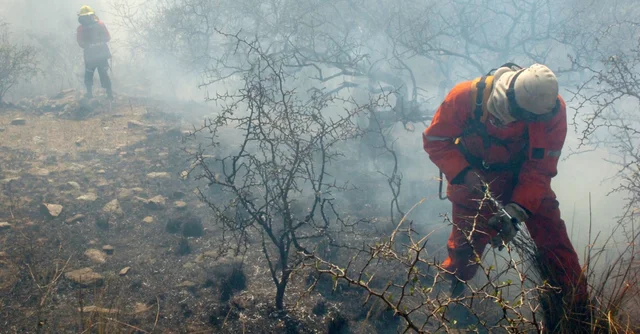 incendios cordoba