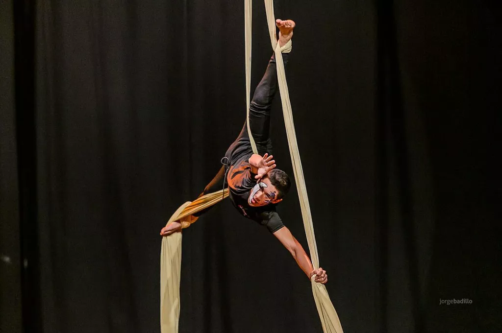 Acrobacia aerea