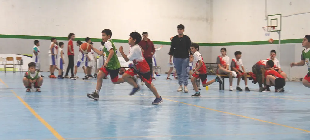 basquet infantil cipo
