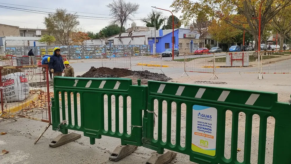 recambio cloacal cipo
