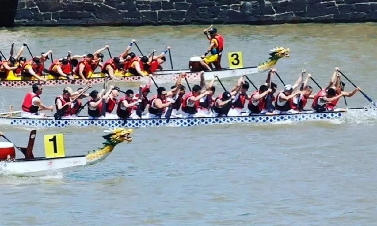 bote dragon