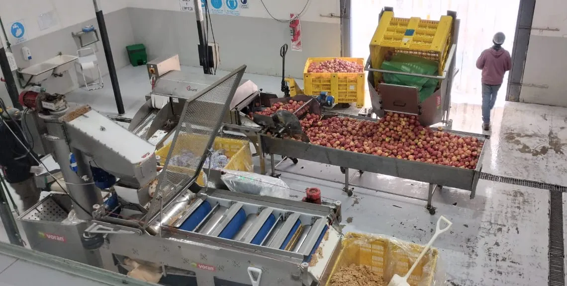 bagazo de manzana