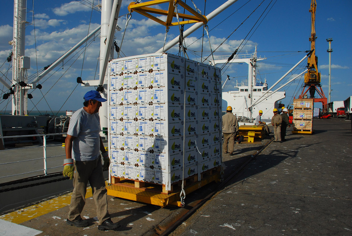 Exportacion de fruta