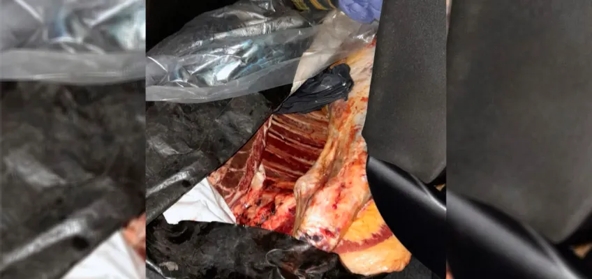 carne