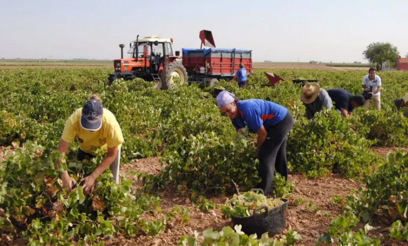 trabajo rural