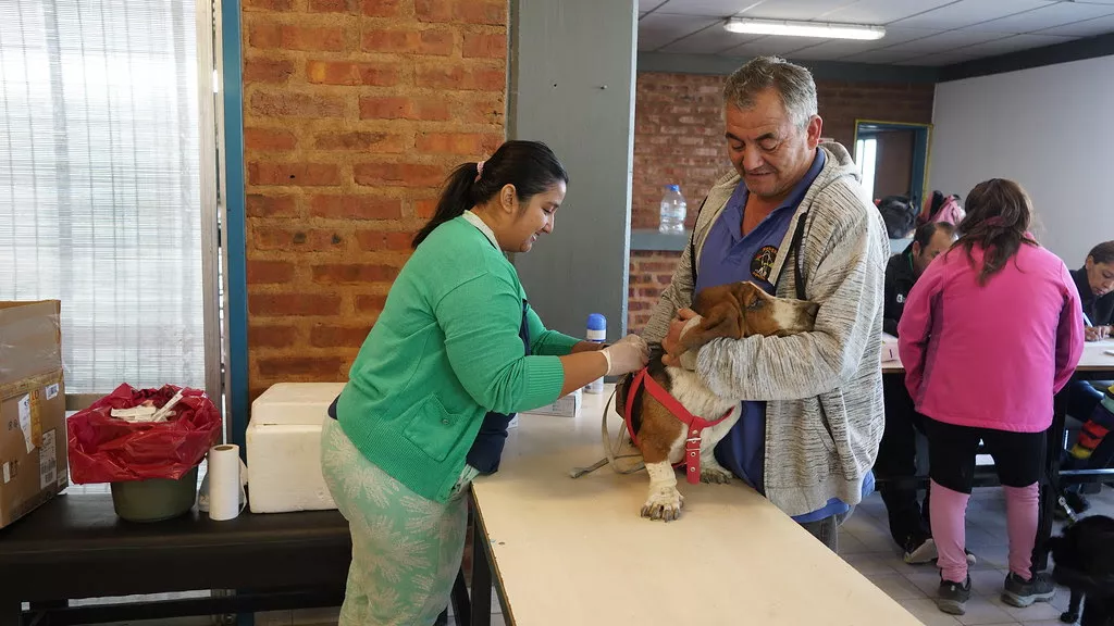 vacunacion perro