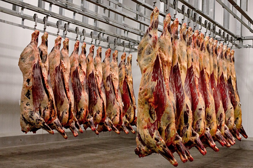 Carne vacuna1