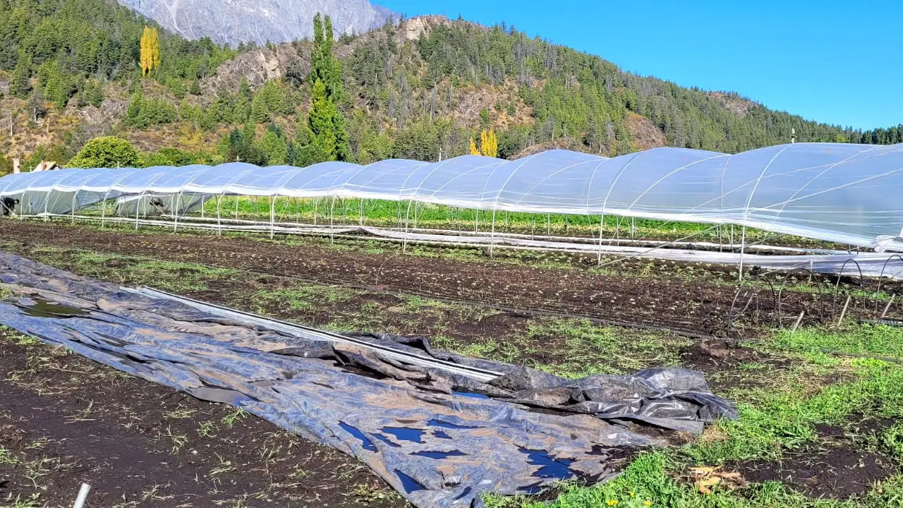 huerta el bolson