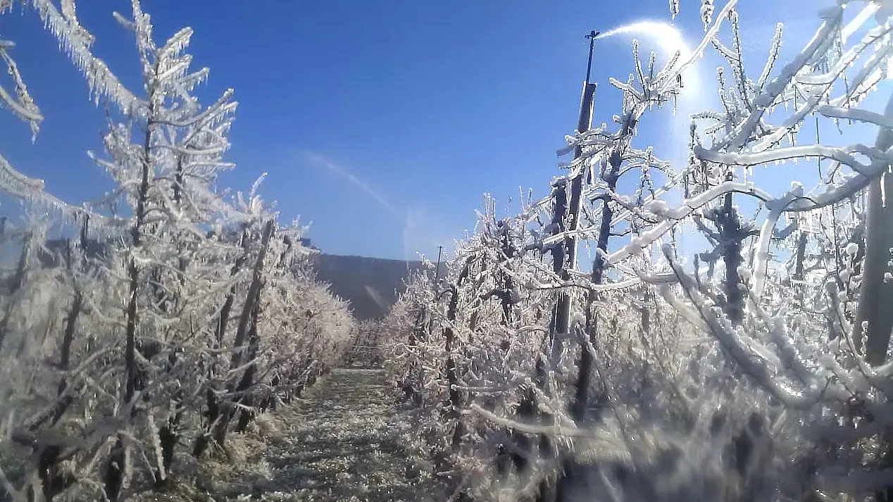 heladas