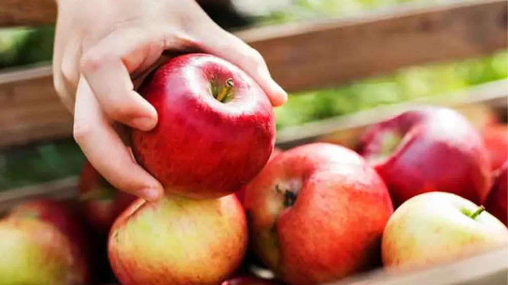 manzana