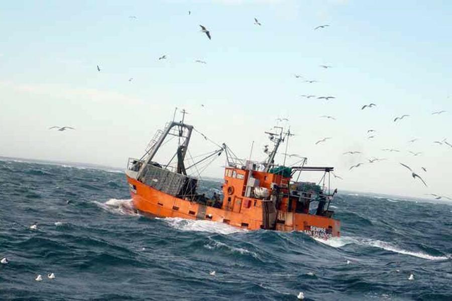 Pesca Golfo San Matías