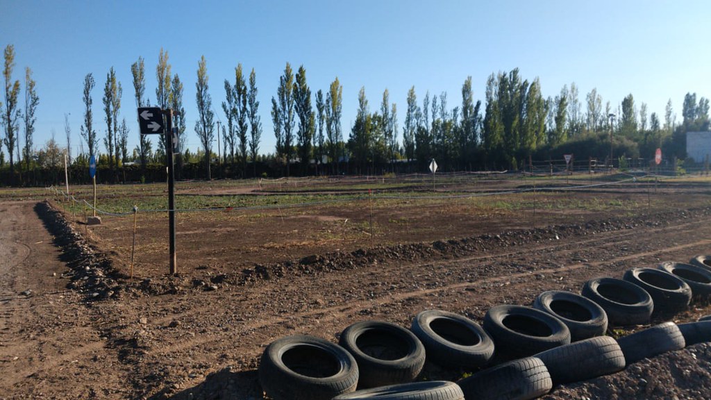 Pista de manejo