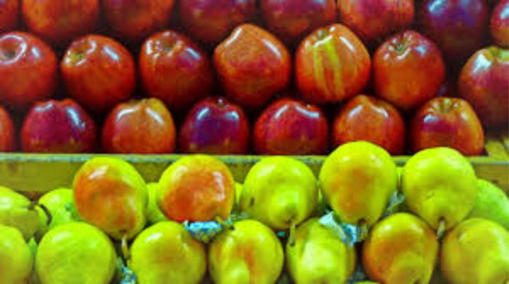 Peras y manzanas