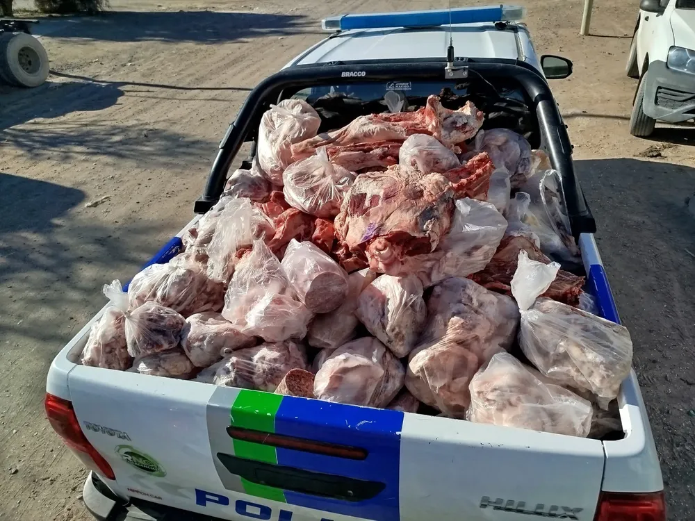 decomiso carne