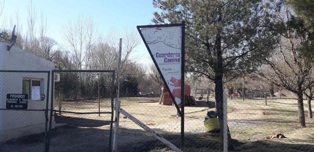 Guarderia canina cipo 3 29-7-20